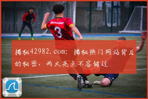 揭秘42982.com：揭秘热门网站背后的秘密，两大亮点不容错过