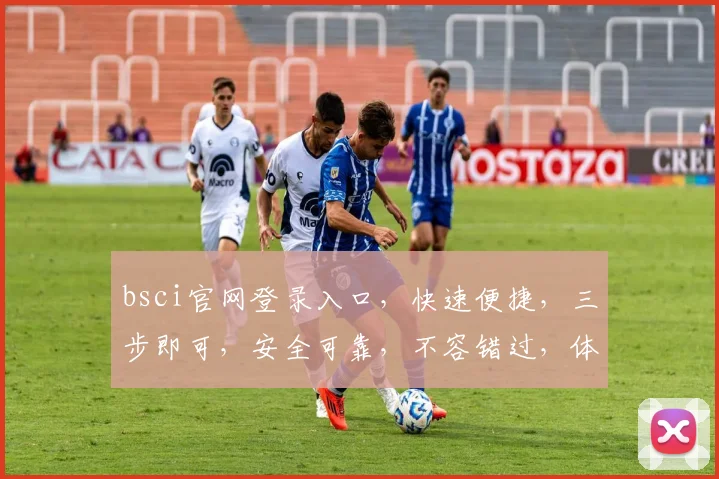 bsci官网登录入口，快速便捷，三步即可，安全可靠，不容错过，体验非凡