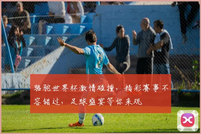 骆驼世界杯激情碰撞，精彩赛事不容错过，足球盛宴等你来观