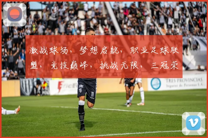 激战球场，梦想启航，职业足球联盟，竞技巅峰，挑战无限，三冠荣耀